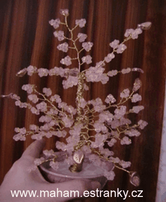 Image2970381