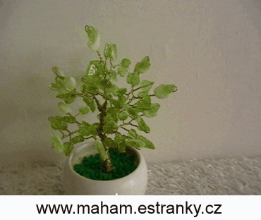 Image10696841