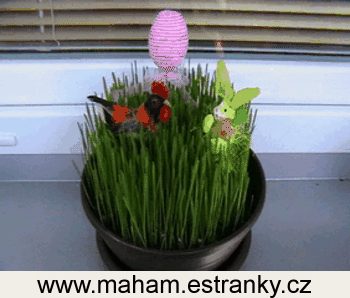 Image3518984