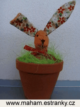 Image3891625